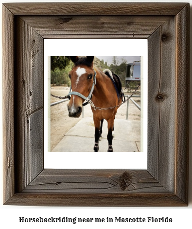 horseback riding near me in Mascotte, Florida